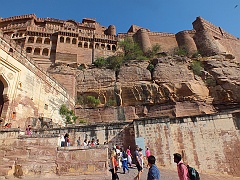 jodhpur (91)